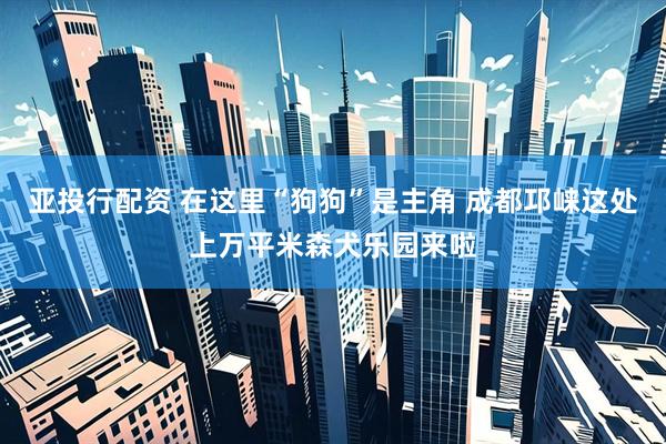 亚投行配资 在这里“狗狗”是主角 成都邛崃这处上万平米森犬乐园来啦