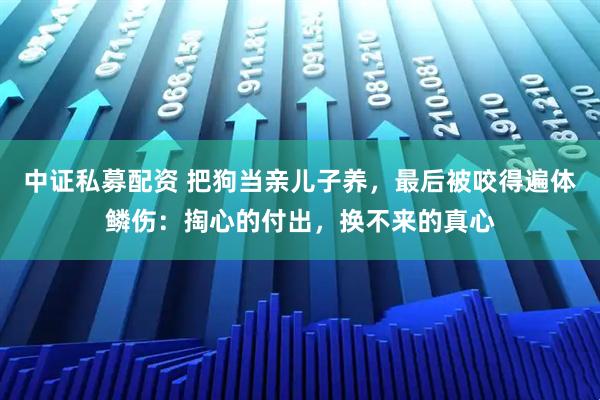 中证私募配资 把狗当亲儿子养，最后被咬得遍体鳞伤：掏心的付出，换不来的真心