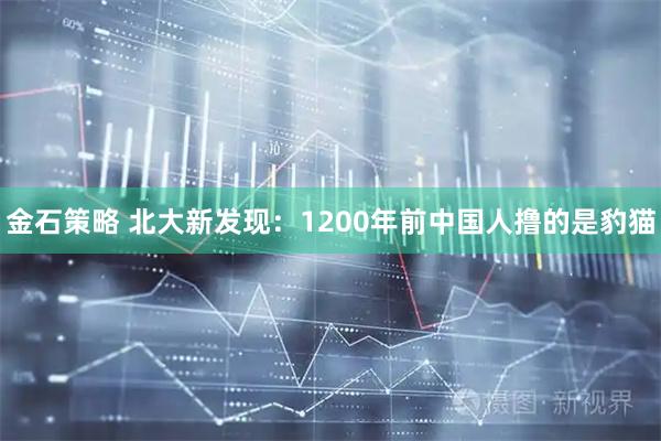 金石策略 北大新发现：1200年前中国人撸的是豹猫