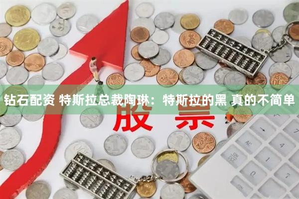 钻石配资 特斯拉总裁陶琳：特斯拉的黑 真的不简单