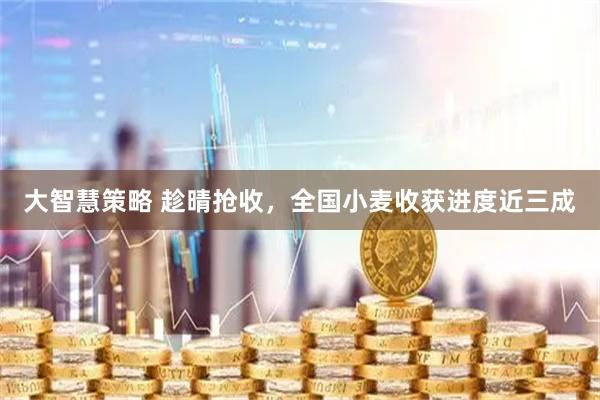 大智慧策略 趁晴抢收，全国小麦收获进度近三成